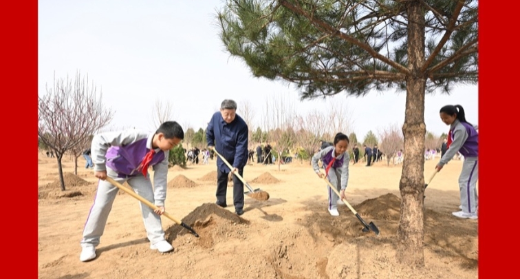 Xi Jinping nimmt an freiwilliger Baumpflanzaktion in der Hauptstadt teil