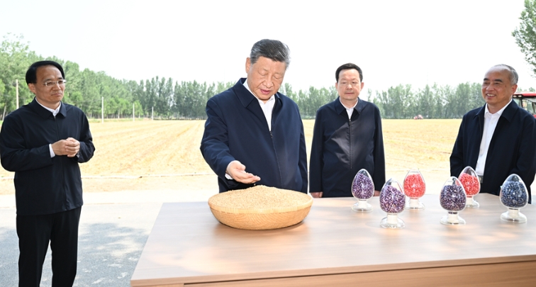 Xi Jinping inspiziert Dezhou